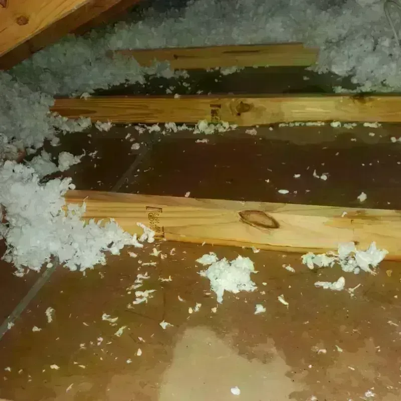 Attic Water Damage in Shepherd, TX