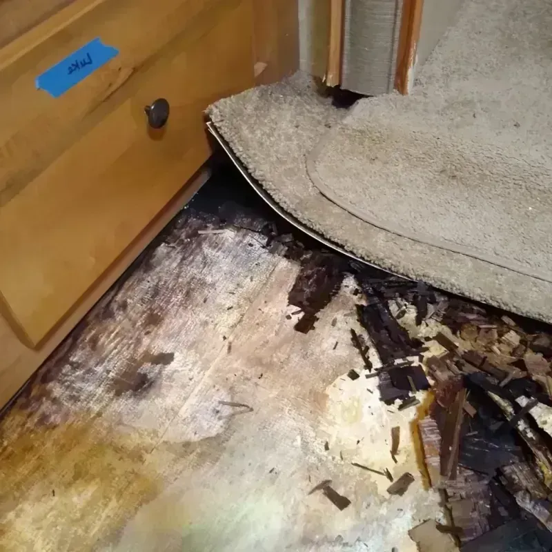 Wood Floor Water Damage in Shepherd, TX